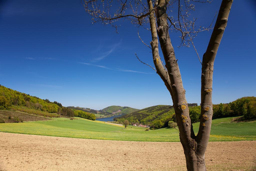 Gasthof Zum Diemeltal Marsberg Exterior foto